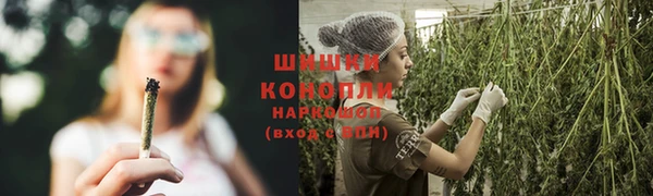 бутират Гусь-Хрустальный